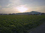 OLYMPUS E-510 F/3.5 ߰ 1/800  ISO100 iD ⏕␳L