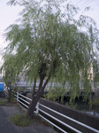 OLYMPUS E-510 F/3.5 ߰ 1/125  ISO100 iD